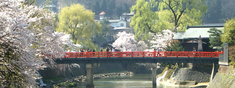 中橋